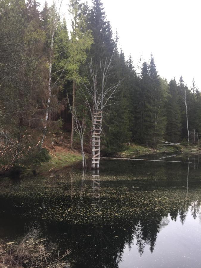 Apartman “U Nas V Podkrovi“ V Rezidenci Klostermann, Zelezna Ruda 24 ภายนอก รูปภาพ