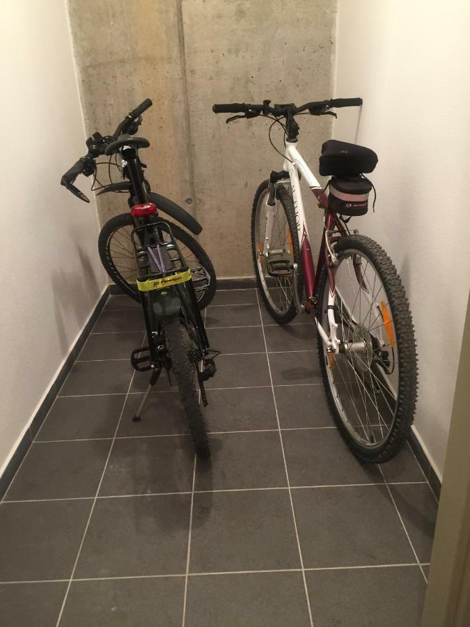 Apartman “U Nas V Podkrovi“ V Rezidenci Klostermann, Zelezna Ruda 24 ภายนอก รูปภาพ